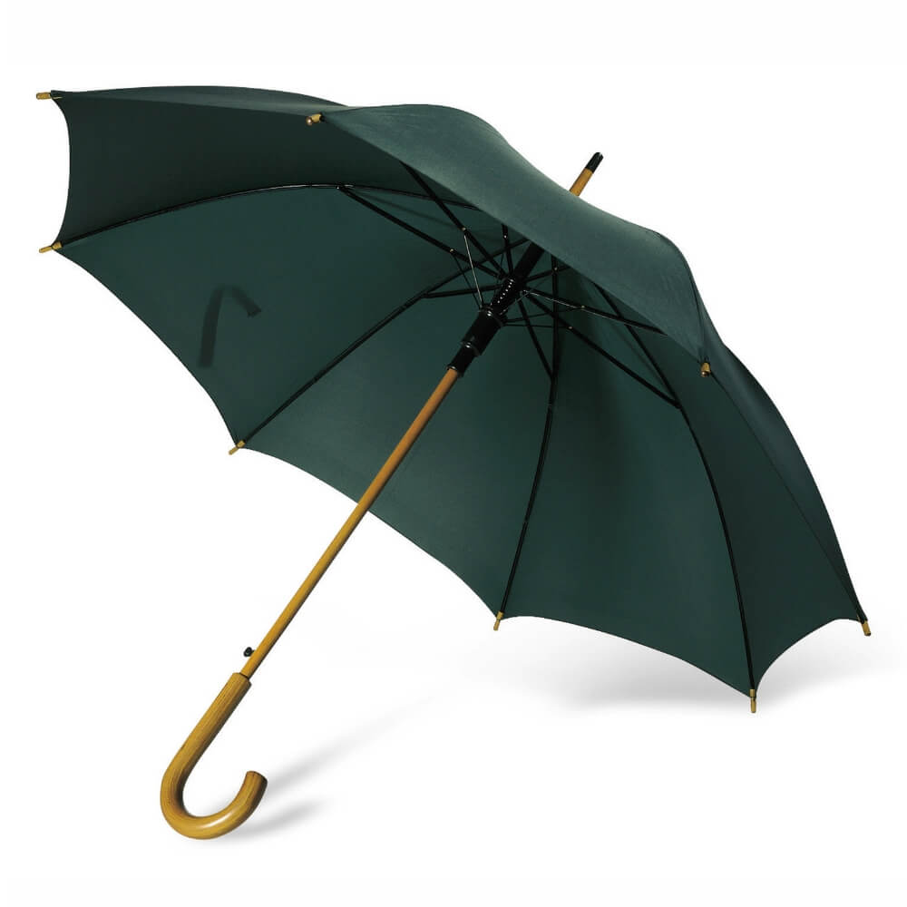 Yeşil yağmur şemsiyesi