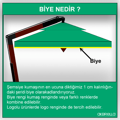 Biye nedir