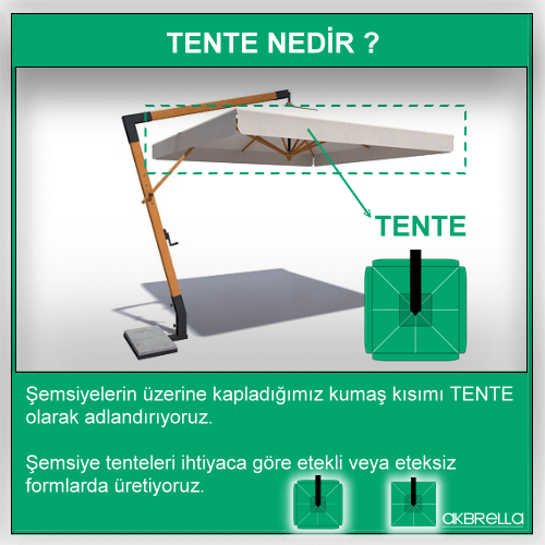 Tente nedir