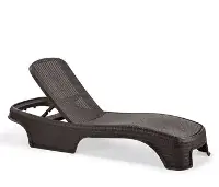 Rattan şezlong