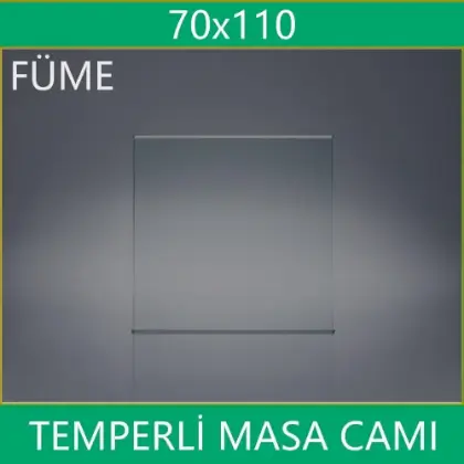 70x110 fme masa cam