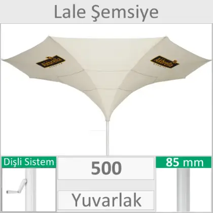 500 ap lale emsiye