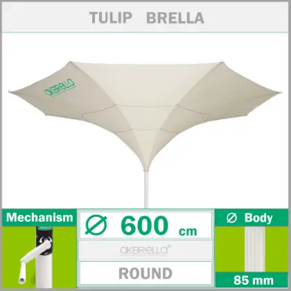 6 Metre dekoratif Tulibella lale emsiye
