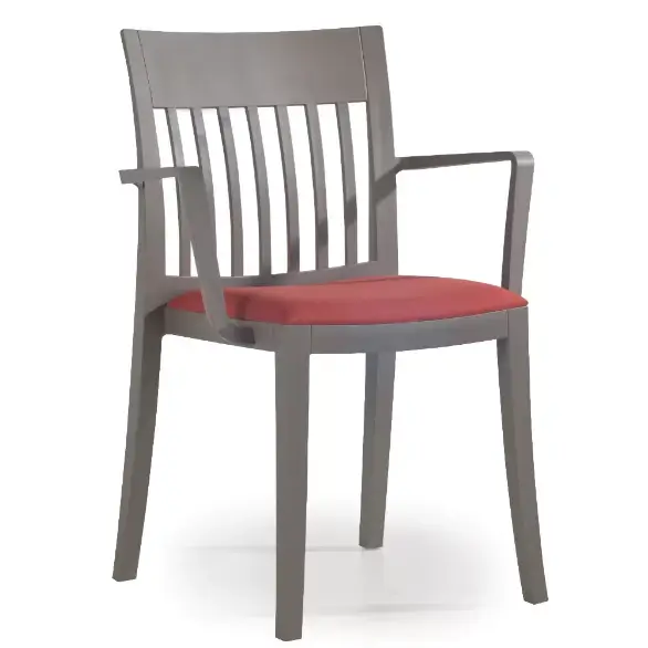 Eden kollu sandalye kırmızı minder
